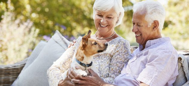 Happy senior couple sitting with a pet dog in the garden